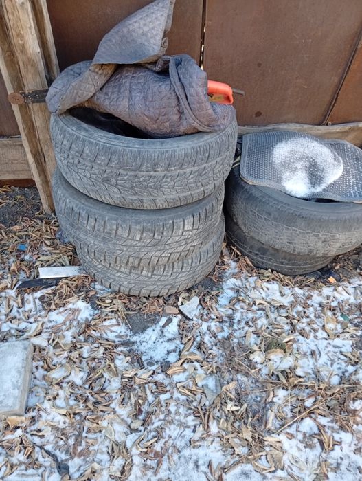 Продам резину на 16