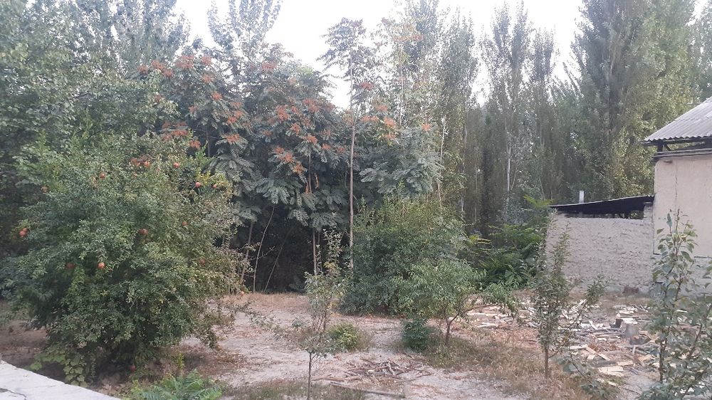 Avval qishlog‘idagi uy sotiladi