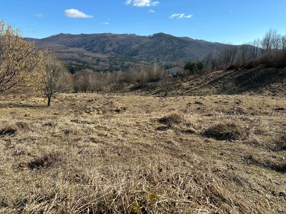 Teren zona montana