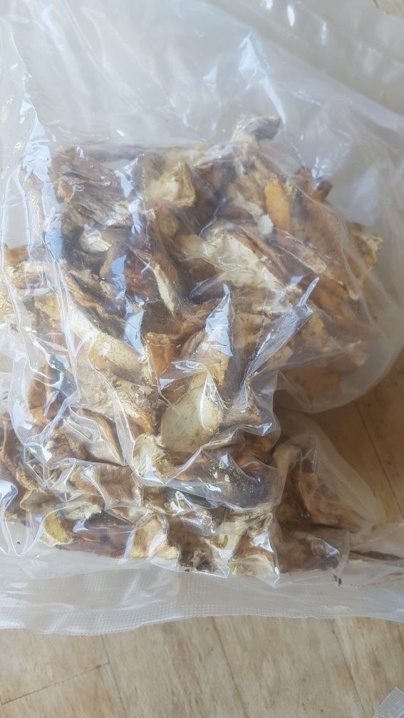 Hribi uscati (deshidratati)