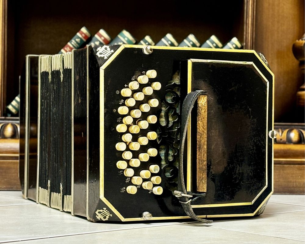 Acordeon Armonica Bandoneon( supita roland hohner )