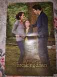 Poster Saga Amurg (The Twilight Saga)/ Alex Velea