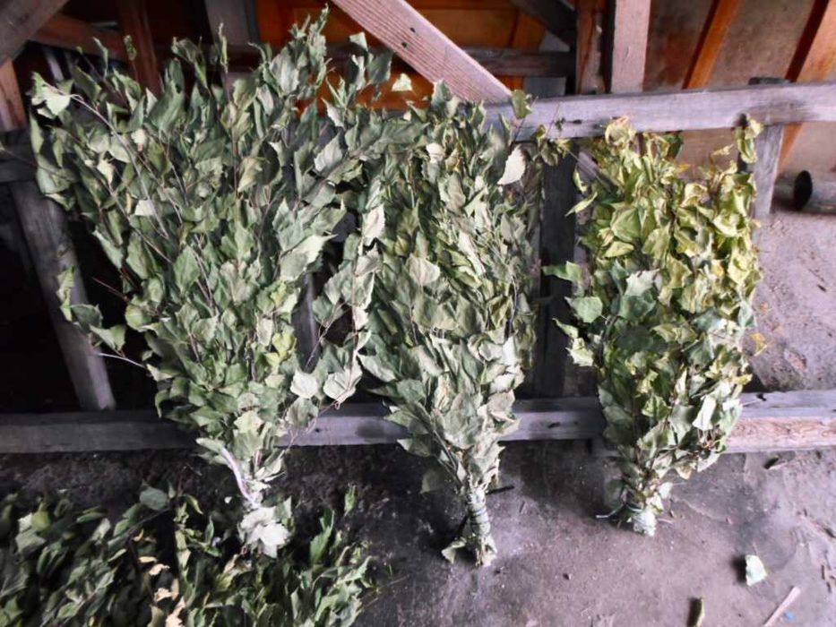 Веники березовые 2025 года.