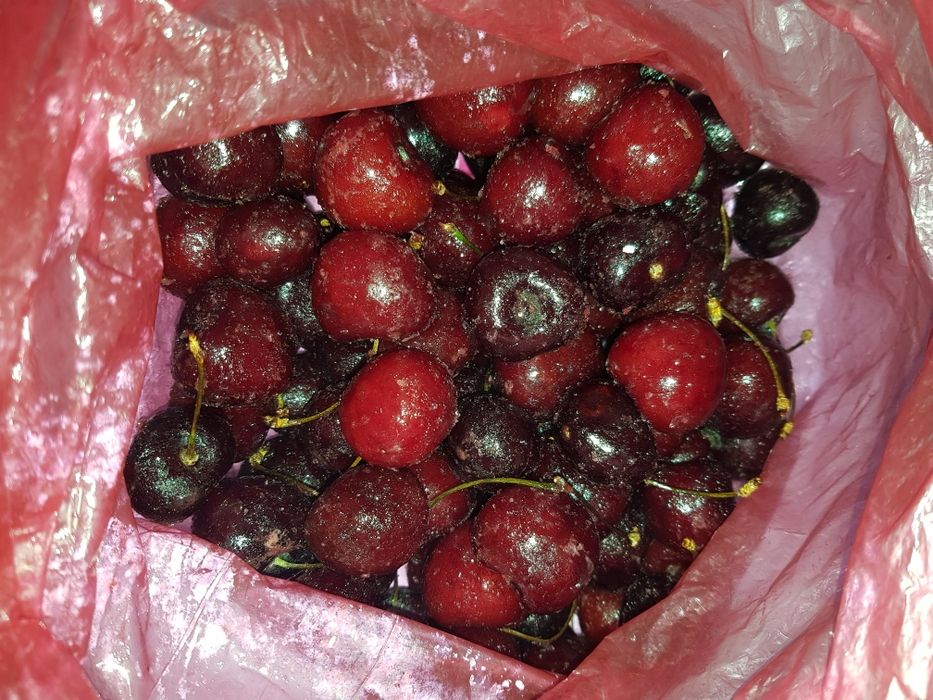 Продаеться: Малина, Шпанка крупная, Черешня желтая и большая