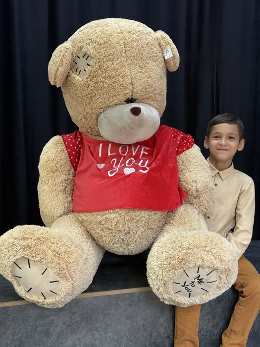 Teddy teddi sifatli va arzon