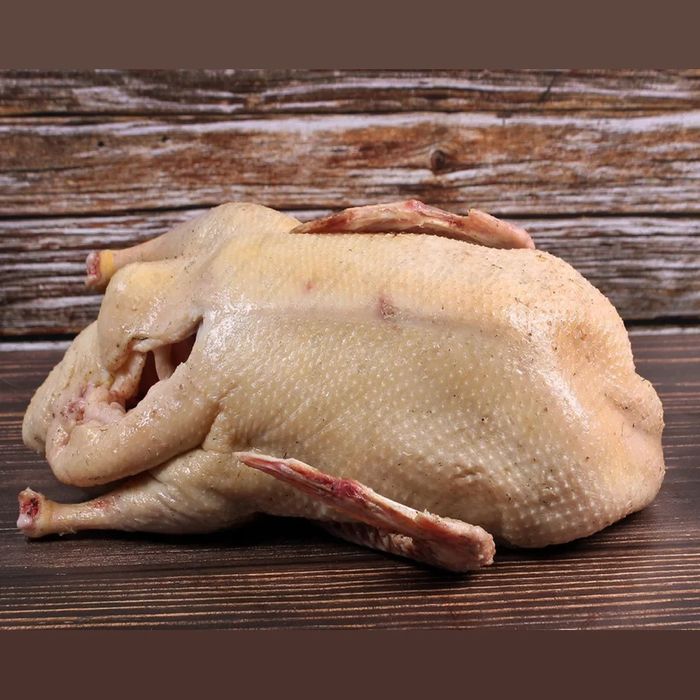 Домашние Петушки Уй хурозлари