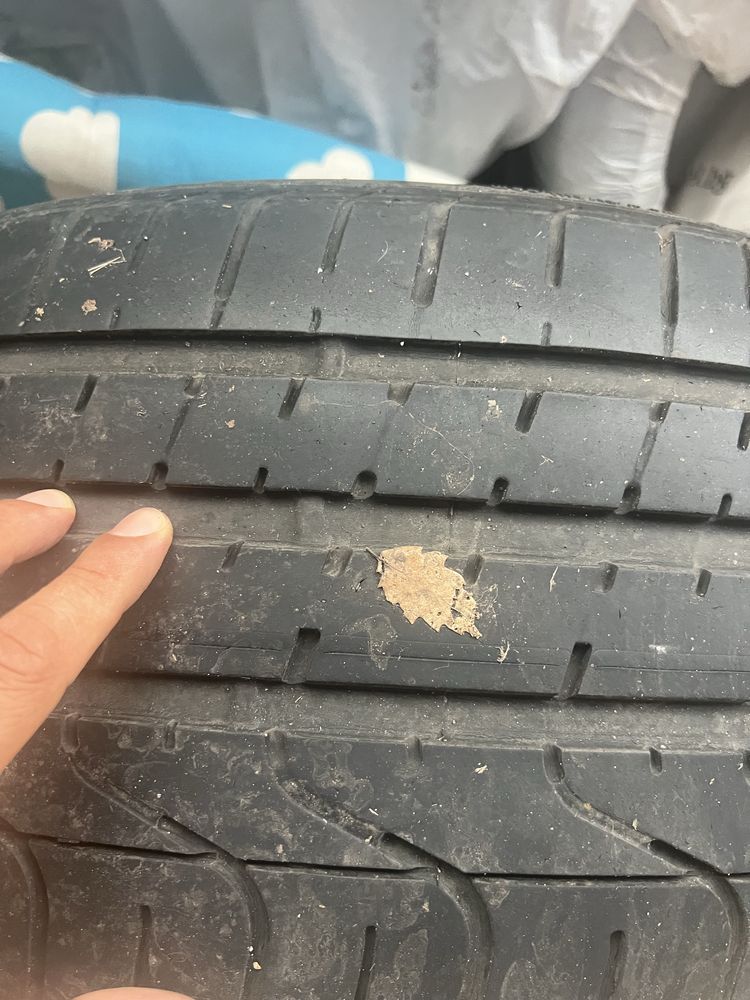 255 40 19 Pireli P Zero Летни