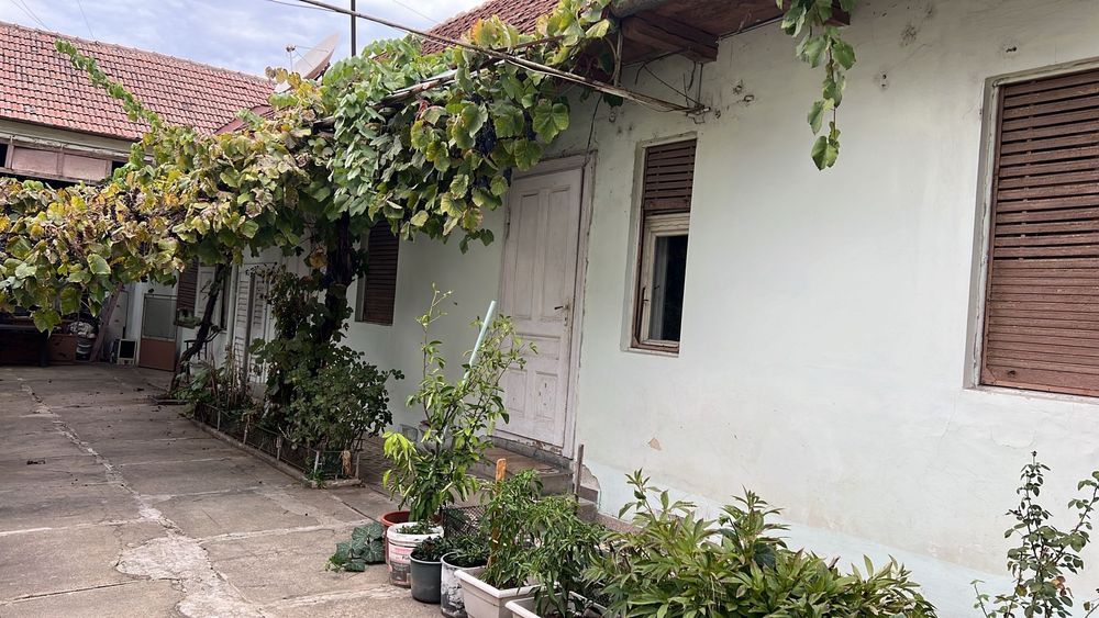 dau in chirie casa Calea Timisorii