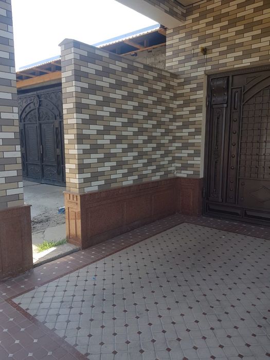 житки  травинтин