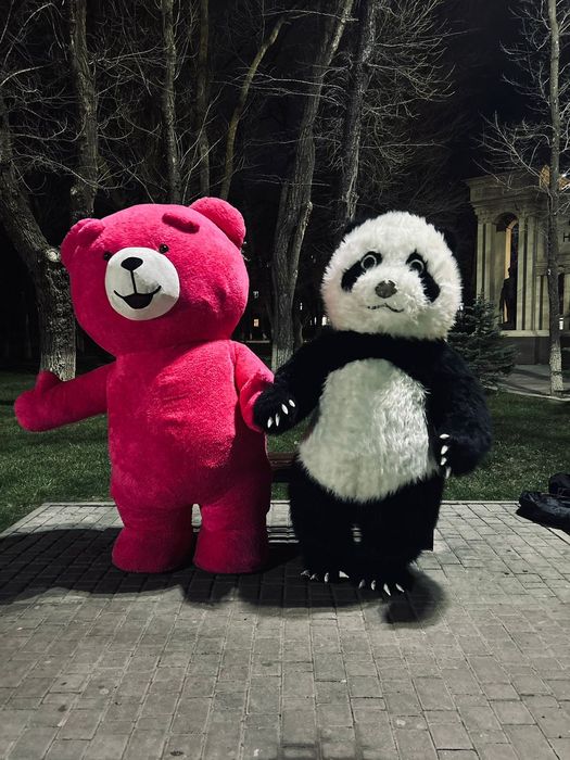 Мишка тедди, мишка,  аниматор, медведь и панда