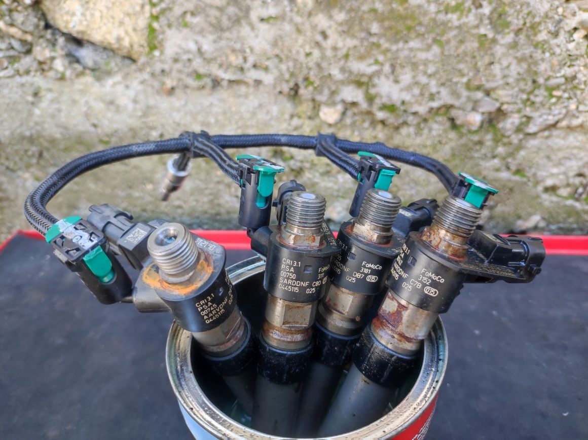 Дюзи Bosch за Пежо-407,2.2HDI-170к.с.