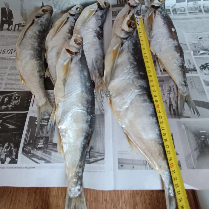 Продам сухую,вяленную рыбу