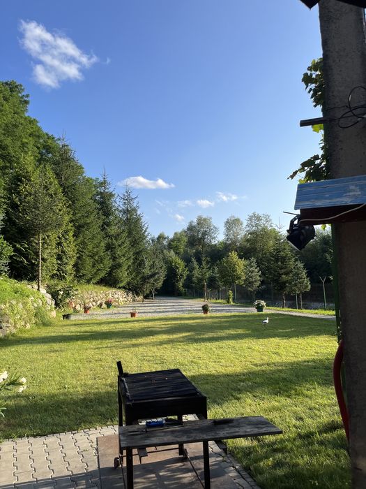Valea Avrigului cabana cu piscina