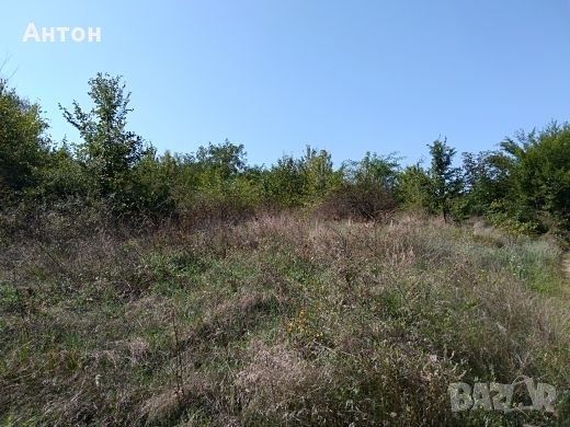 Продава се Парцел в с. Драгойново, Област Пловдив - 830 кв.м за 10 €/кв.м - Снимка #1