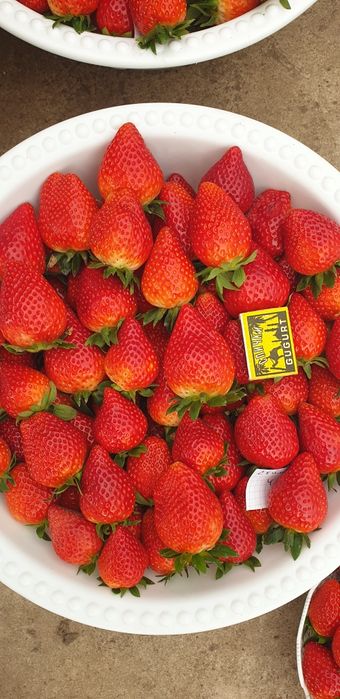 Koreyskiy Kinsberri shirin qulupnay(клубника)