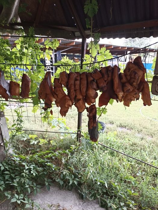 Сало, копчёное  на опилках.      яблони