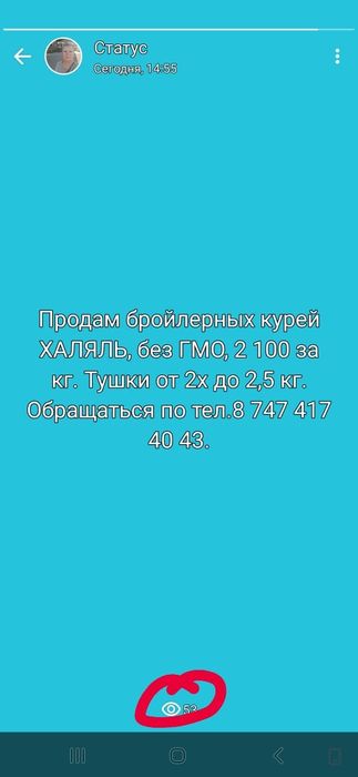 Бройлерные курицы