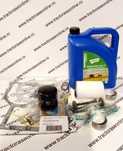 Piese pentru motor Ruggerini