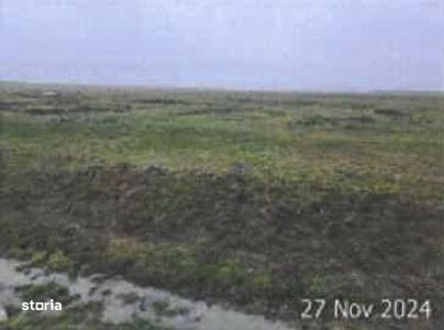 Teren pasune Luciu, cota parte    ; ID: R2766691