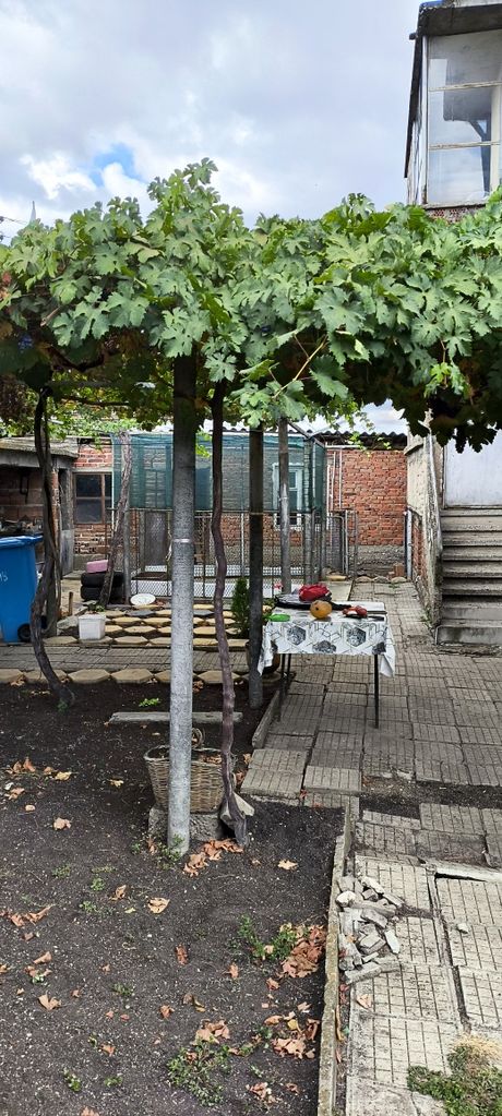 Продава се Къща в Чирпан - 350 кв.м за 175 €/кв.м - Снимка #5