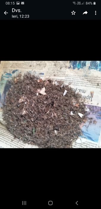 Aparat pentru insecte