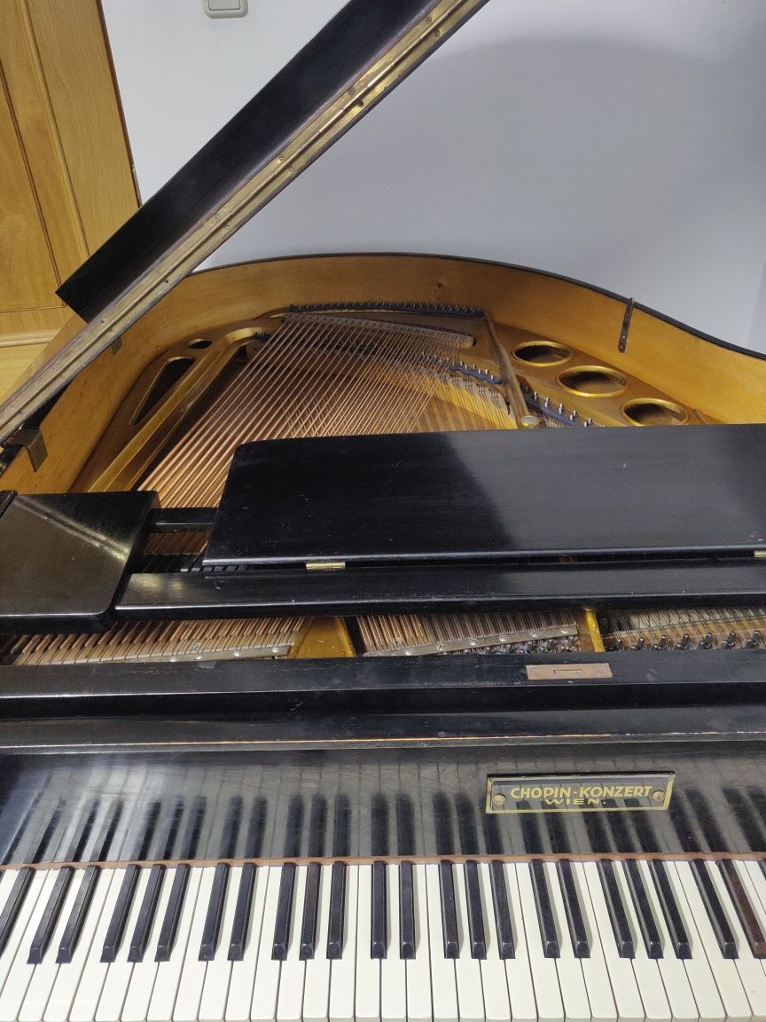Pian Chopin Konzert Wein 1910