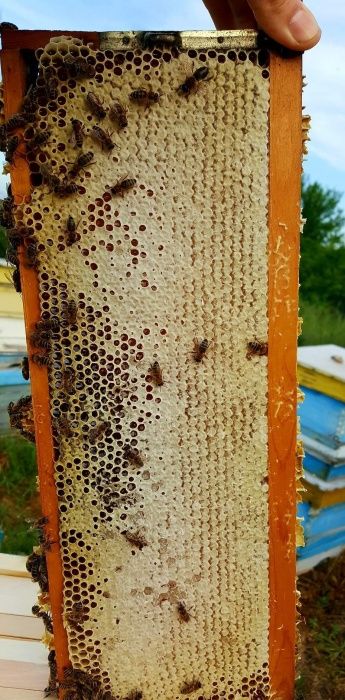 Пчелен Мед 100% Натурален