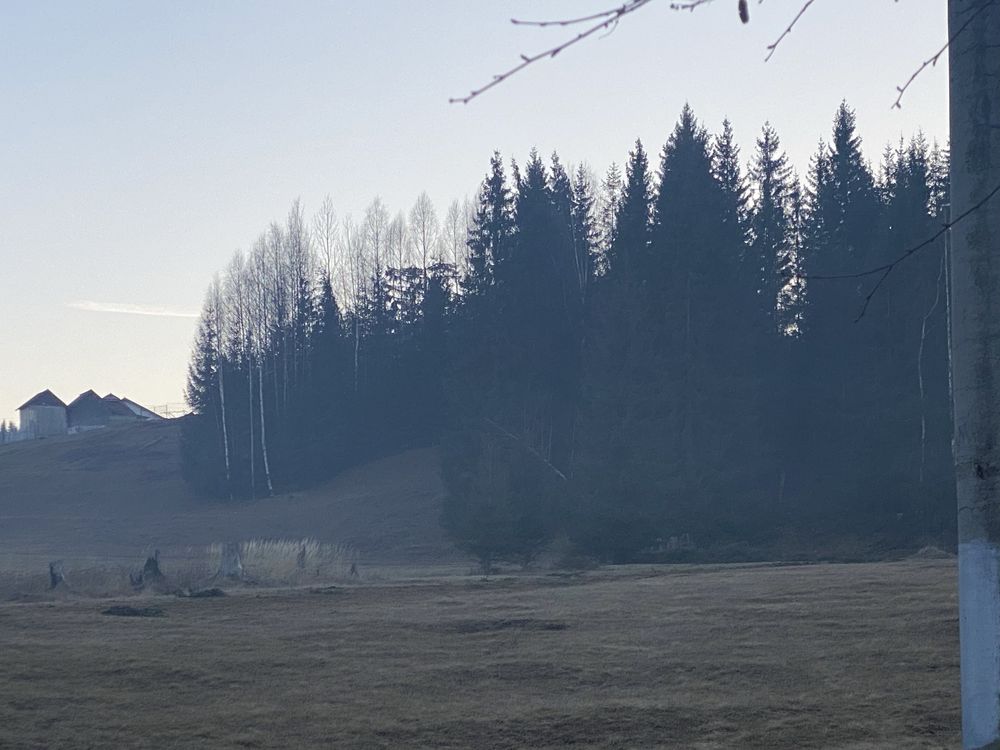 Vînd teren intravilan lîngă Vatra Dornei com S Dornei