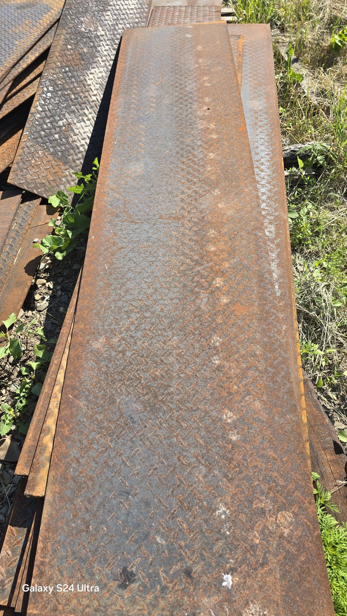 Tabla striata noua