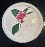 Колекционерска чиния на Villeroy & Boch Camellia с ботанически мотив