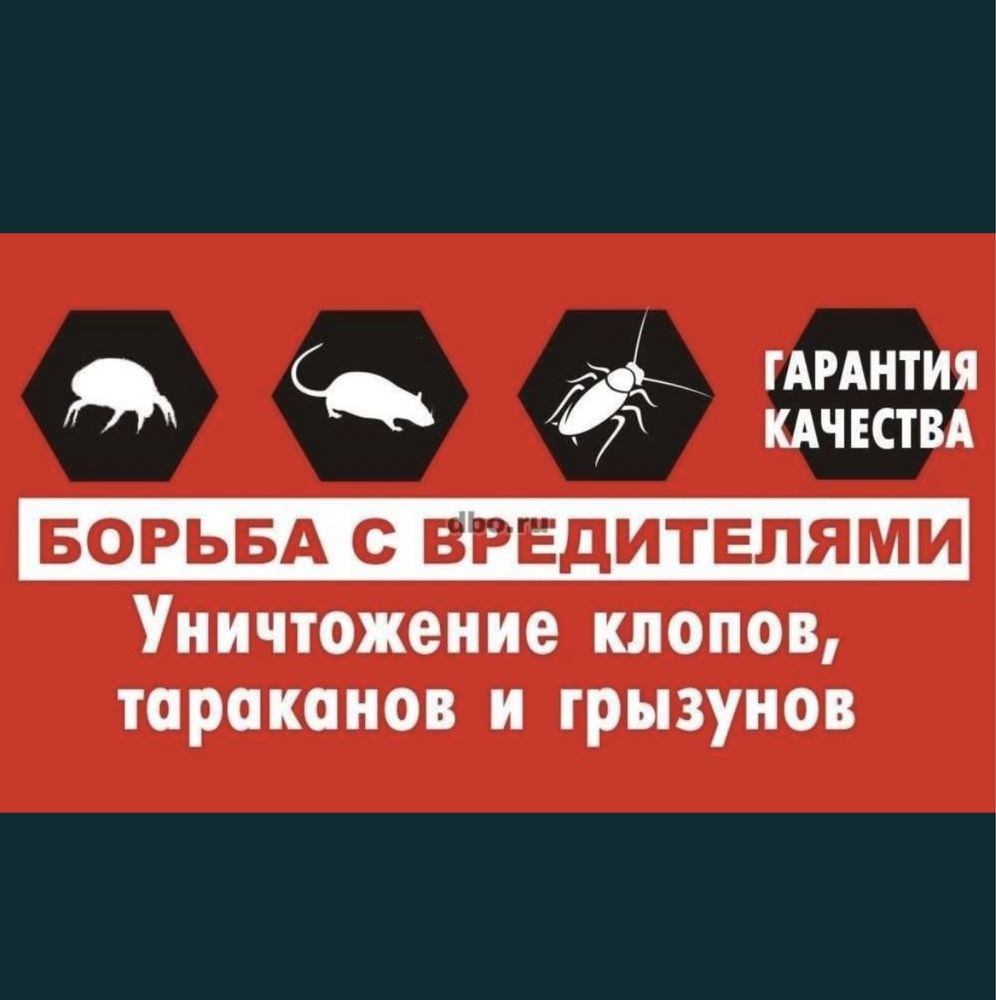 Дезинфекция город  Шымкент