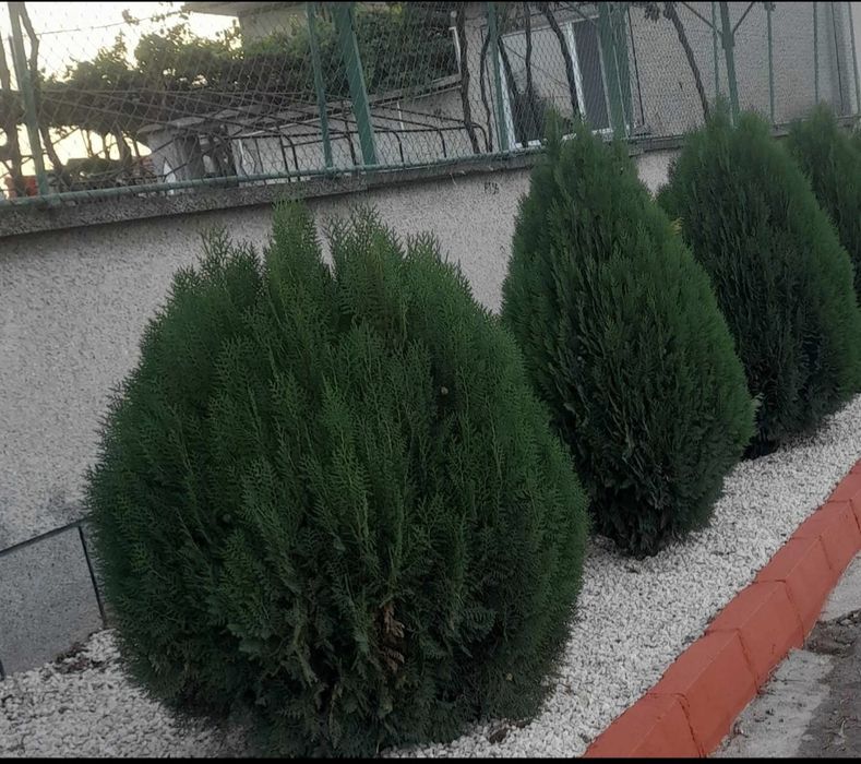 Доставка на бели къмъни(тип чакък)за украса и декорация на градинки