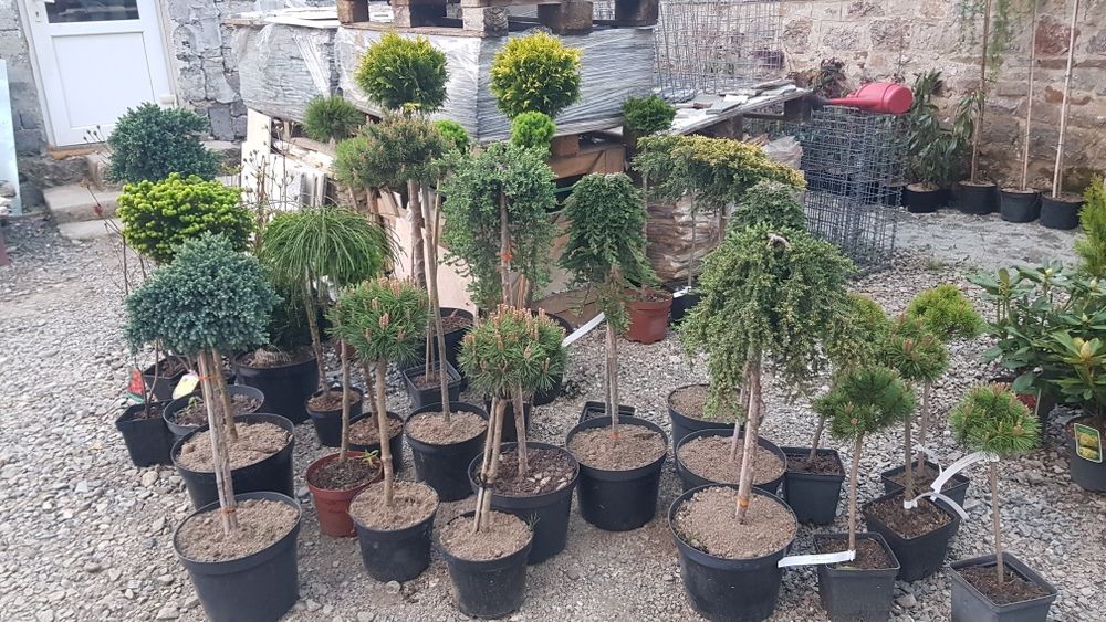 Placaj marmura 40x80