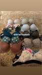 Sutiene Victoria secret originale !!! 650 lei toate