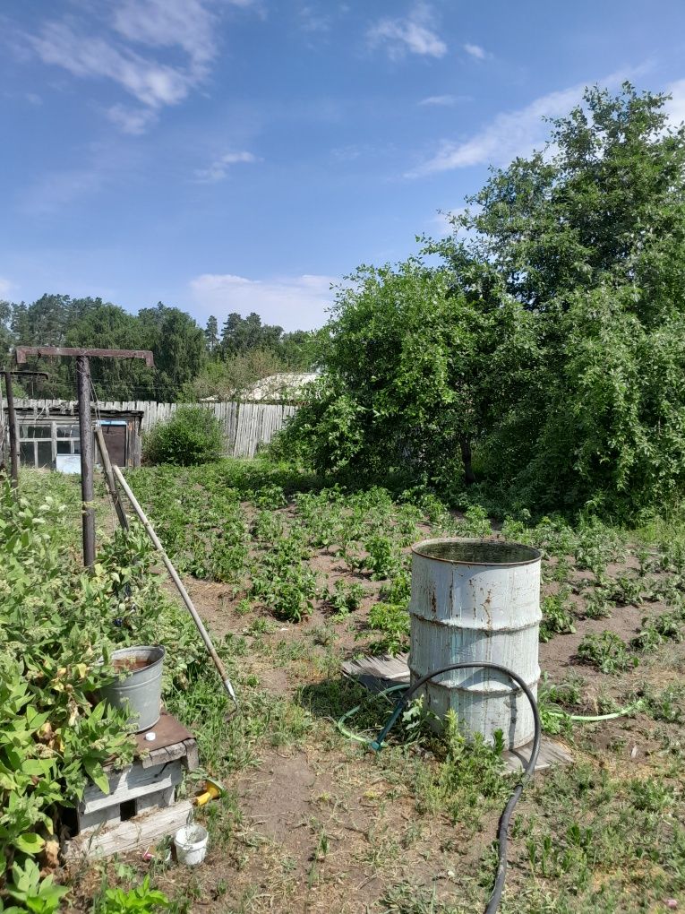 Продам дом в лесном массиве