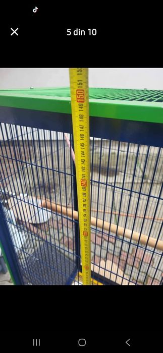 Colivie pentru papagali