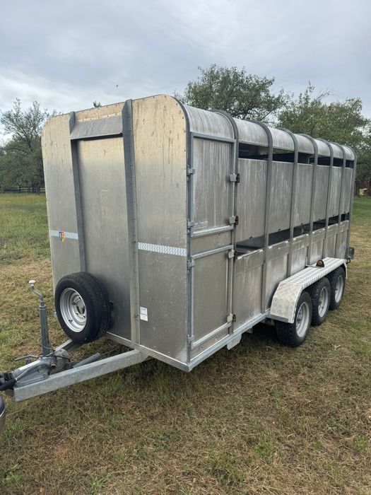 Remorca transport animale M-TEC