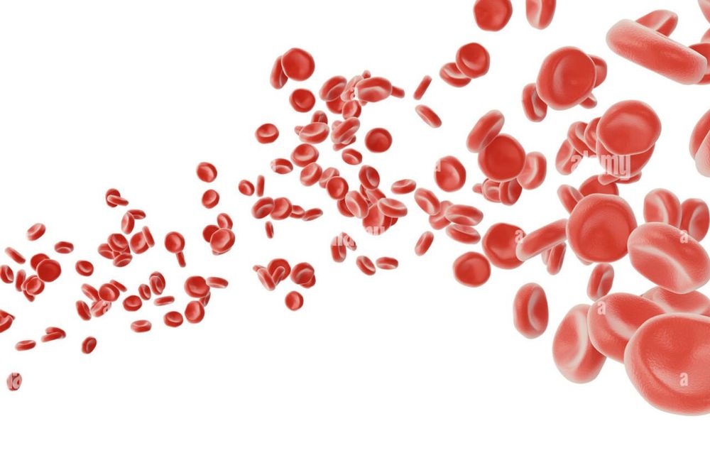 Baliqlar gematologik koʻrsatkichlarini aniqlash(анализ крови рыб)
