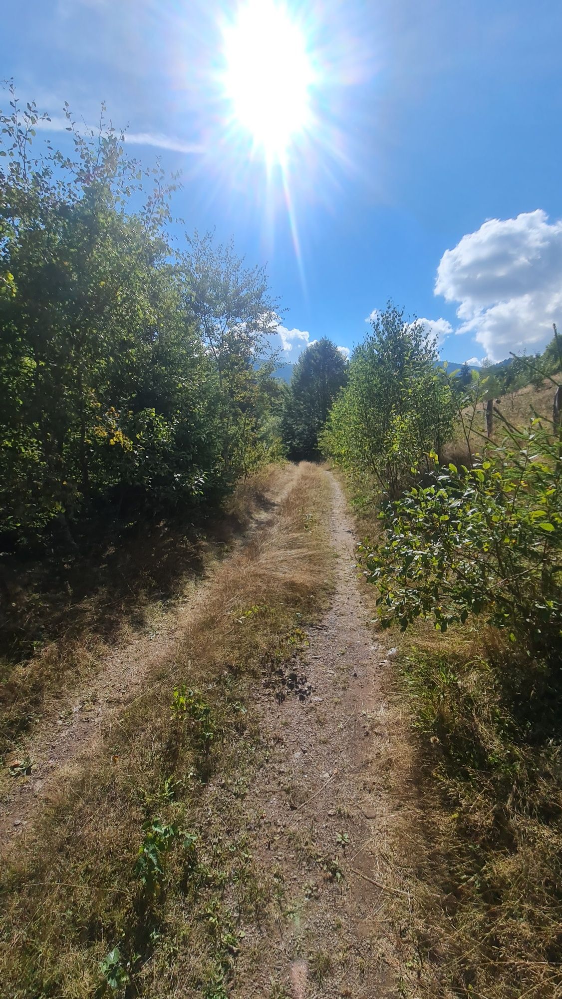 Vând teren zona Arieseni 2090mp