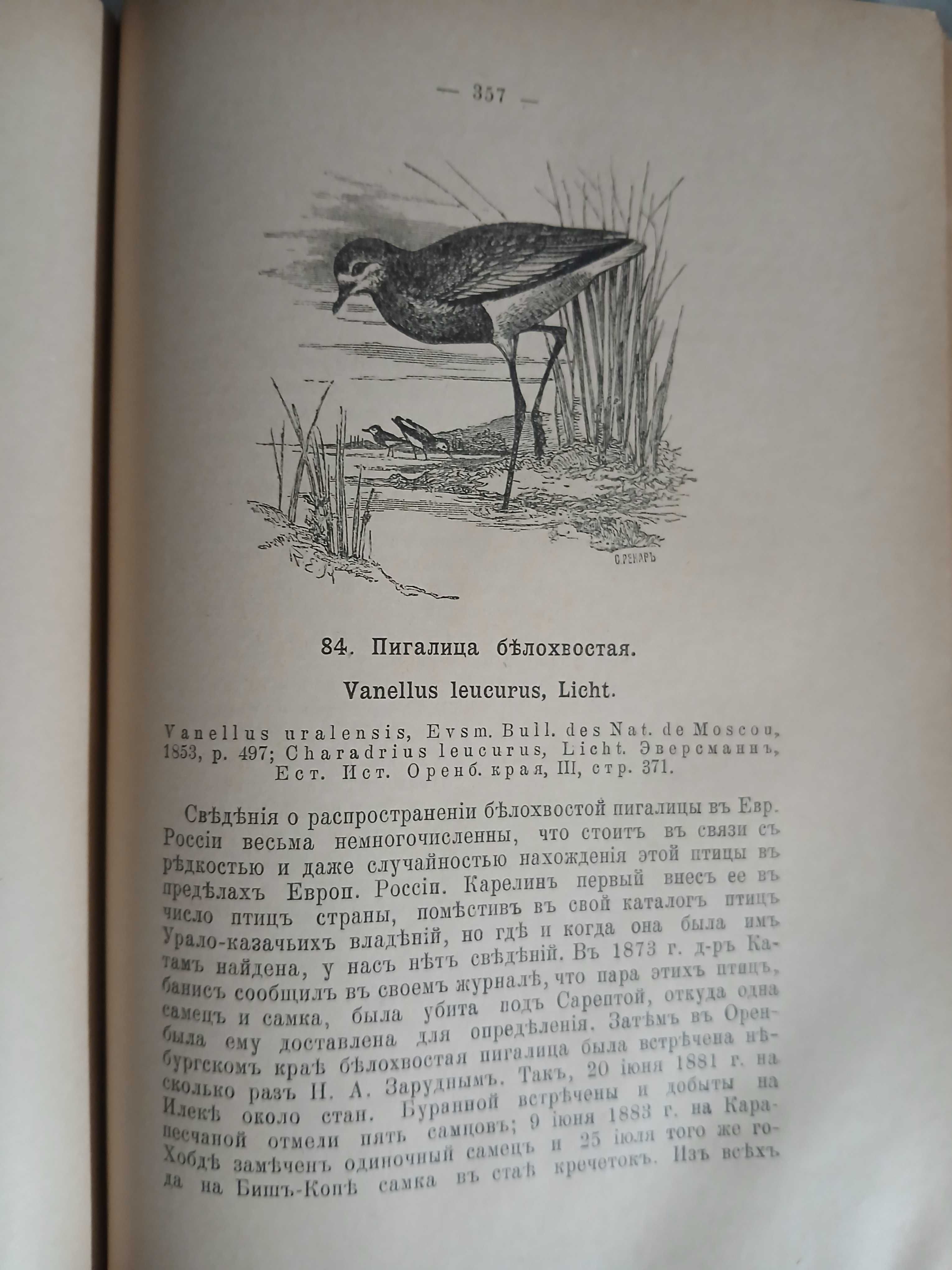 Птицы России 1895 год.
