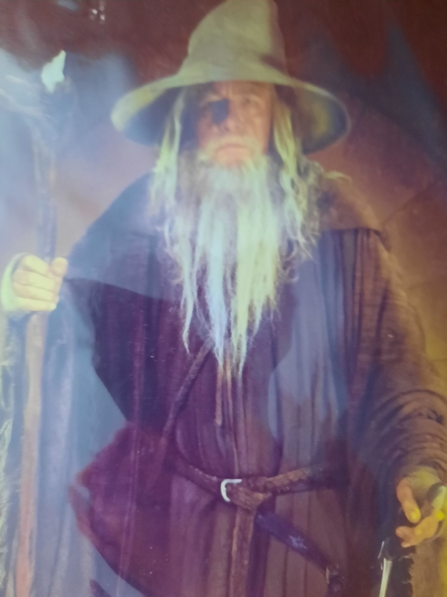 Tablou Gandalf LotR