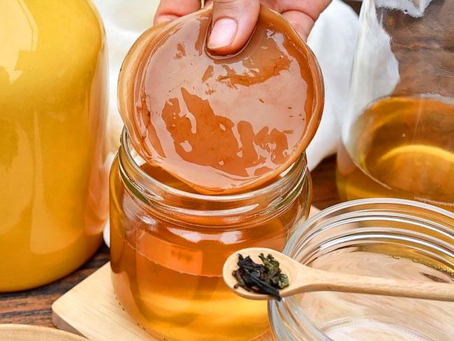 Продам чайный гриб