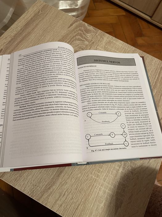 Compendiu Anatomia si Fiziologia Omului