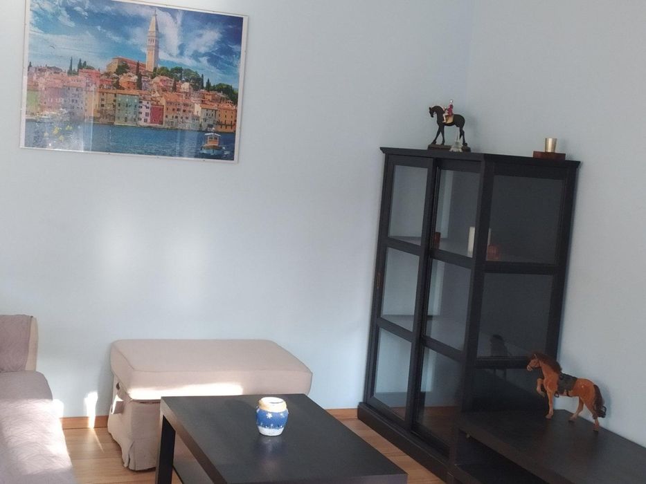 Дава се под наем Двустаен апартамент в София, Мусагеница - 60 кв.м за 650 € - Снимка #3