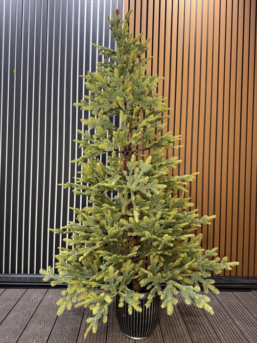 Елки разных видов и размеров