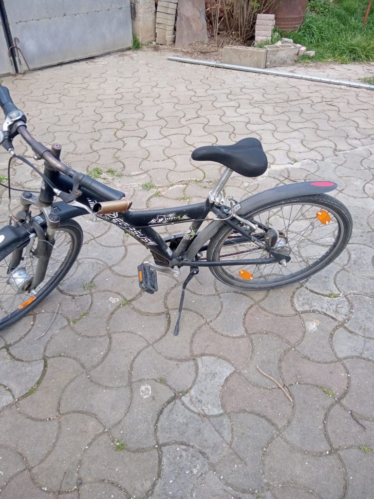 Bicicleta Pegasus