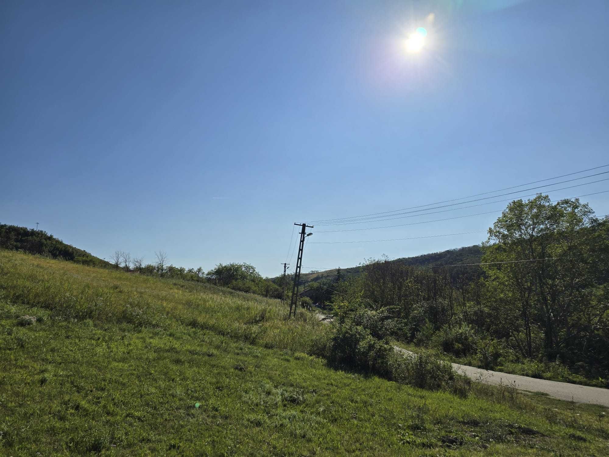 Teren intravilan 5.000 mp zona viticola Dealu Mare, 1 ora de Bucuresti
