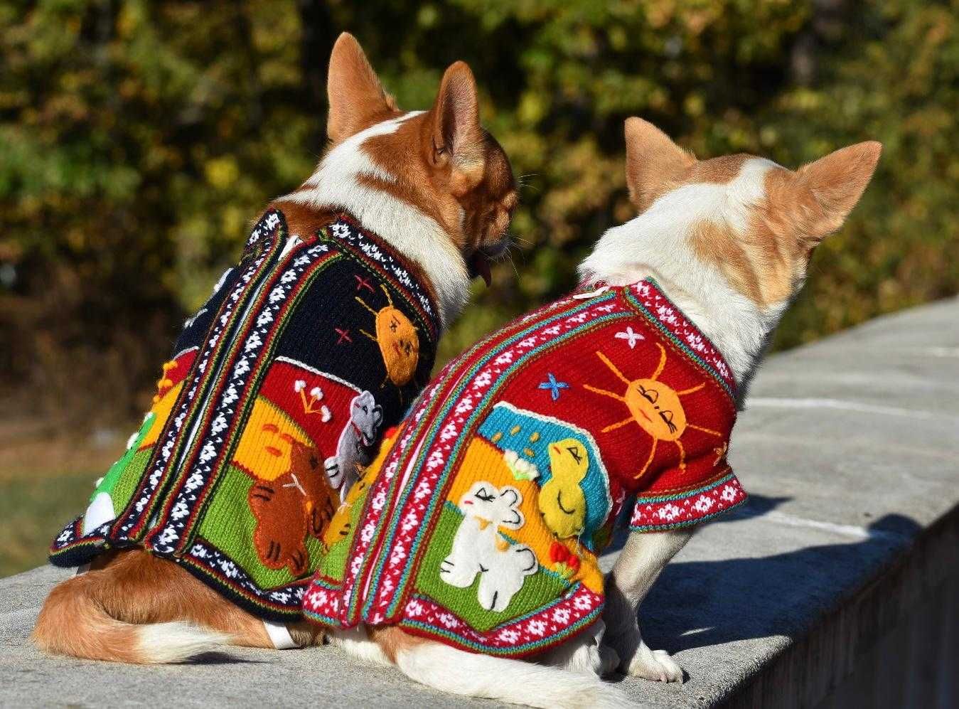 Ръчно бродирани дрешки за кучета от Перу различни цветове и размери