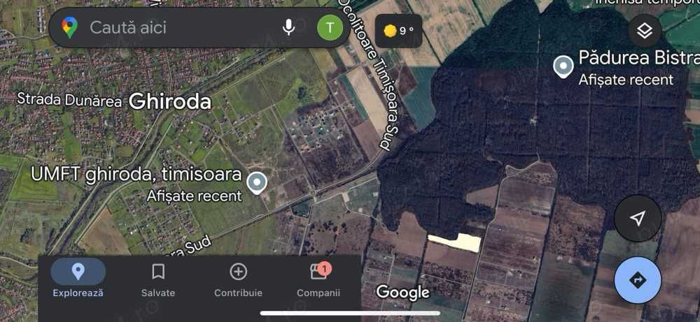 Proprietar, vand teren 18.800mp (1.88ha) Mosnita Veche-Padurea Bistra