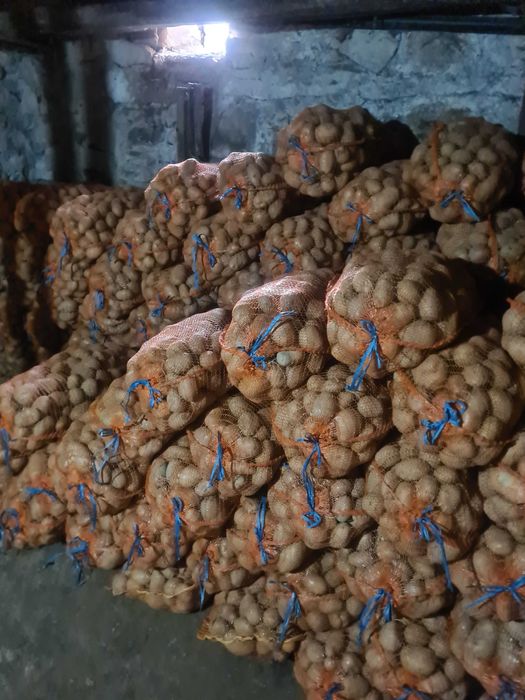 Cartofi consum alb si rosu